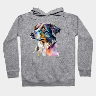 Border Collie Dog Watercolour Painting Hoodie